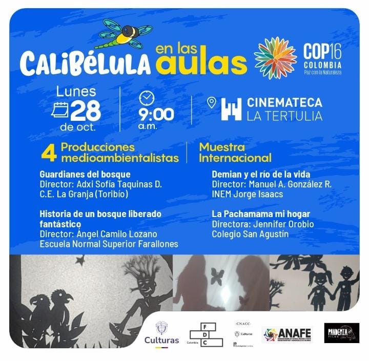 blog Calibelula